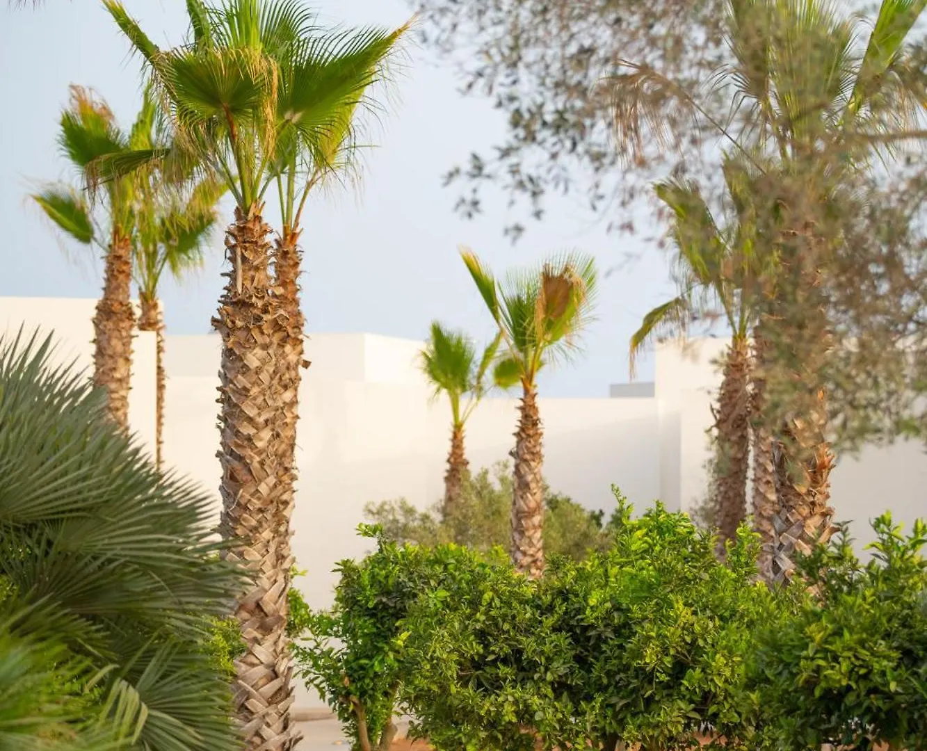 Can Jaume Private Villas By Ocean Drive Puig D'en Valls Hotel