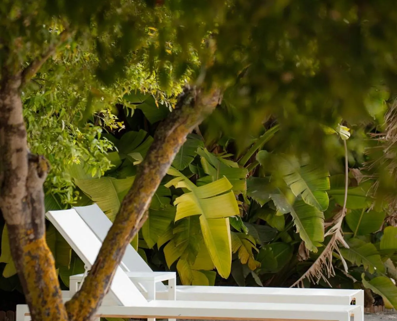Can Jaume Private Villas By Ocean Drive Puig D'en Valls 4*,