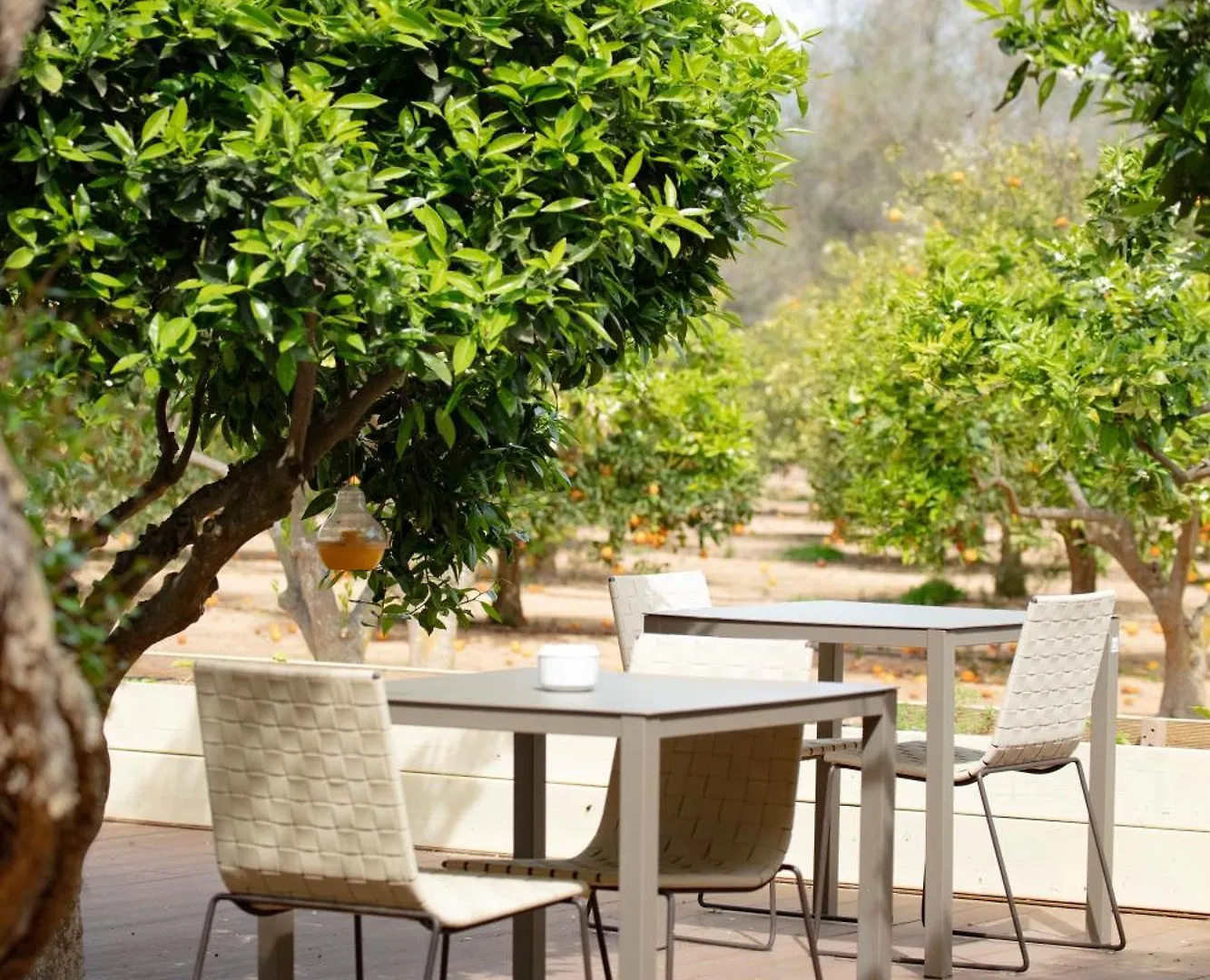 Hotel Can Jaume Private Villas By Ocean Drive Puig D'en Valls